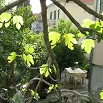 Paro アパート スプリト
