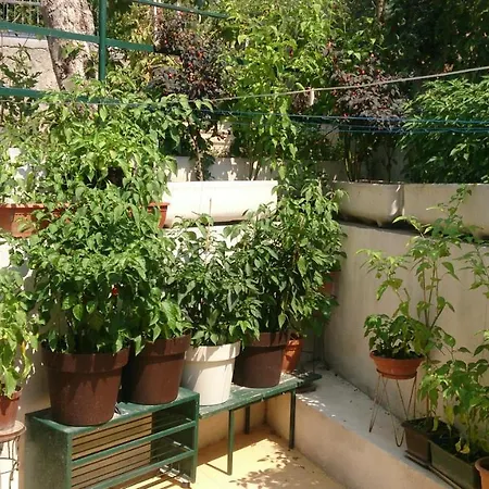 Paro Apartment