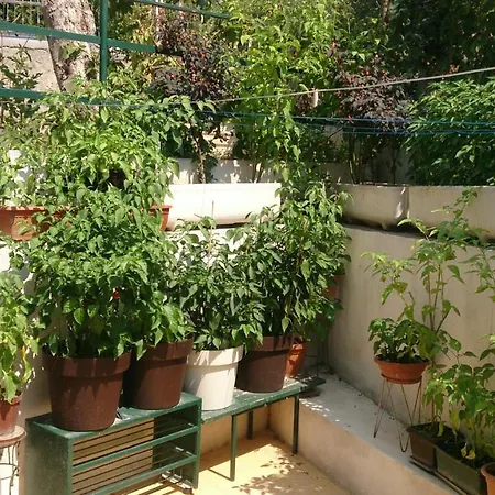 Paro Apartamento