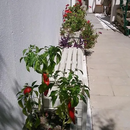 Paro Apartamento *