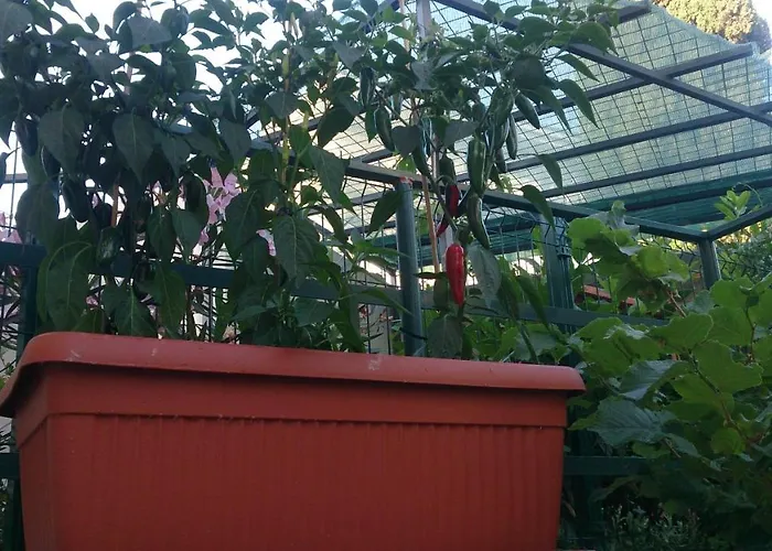 Apartamento Paro Split