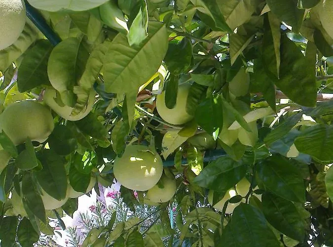 Paro Apartamento Split