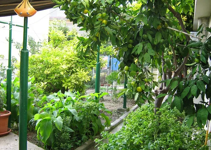 Paro Apartamento Split