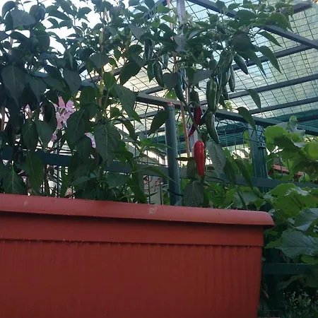 Appartamento Paro Spalato