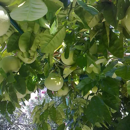 Paro Appartamento Spalato