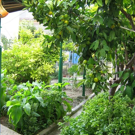 Paro Appartamento Spalato